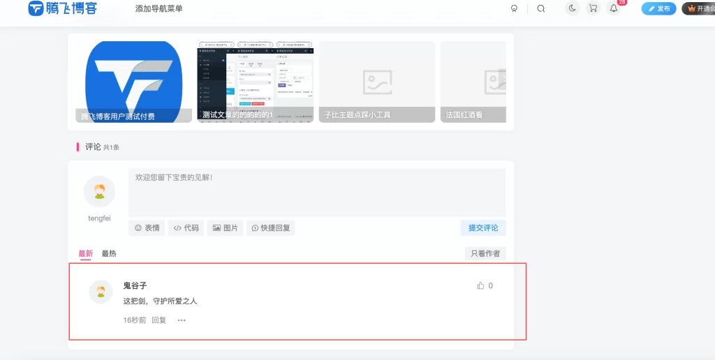 WordPress插件 – 自动评论插件_支持按板块评论-知喜博客