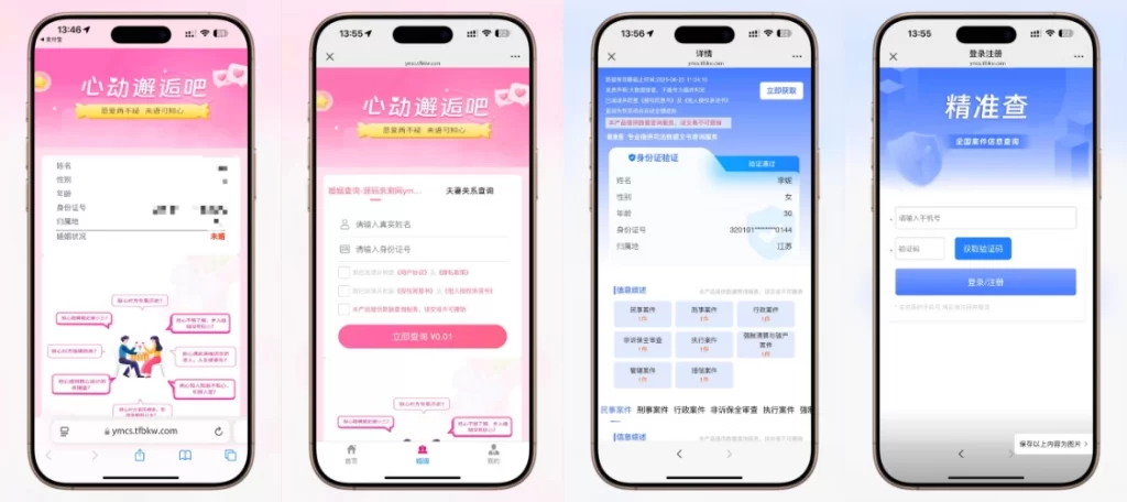 婚姻案件案底查询系统网站源码 – 无授权版-知喜博客